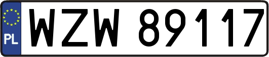WZW89117