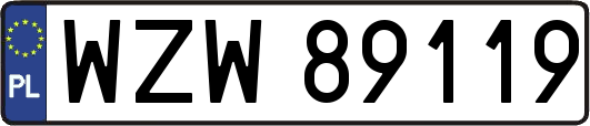 WZW89119
