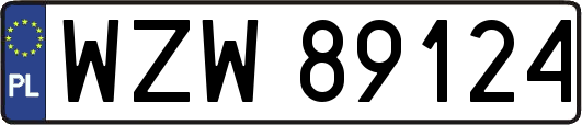 WZW89124
