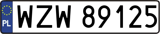 WZW89125