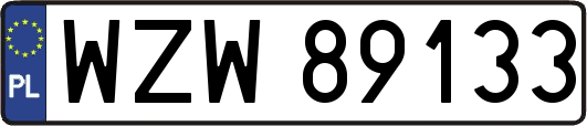 WZW89133