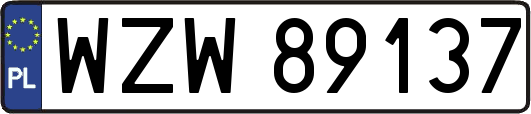 WZW89137