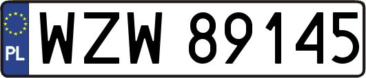 WZW89145