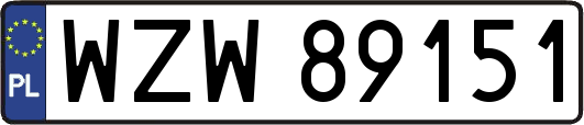 WZW89151