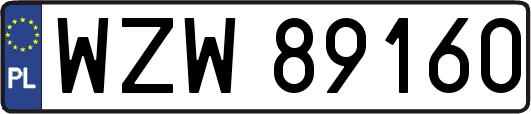 WZW89160