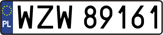 WZW89161