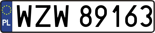 WZW89163