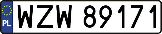 WZW89171