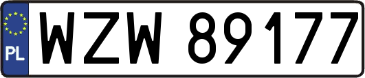 WZW89177