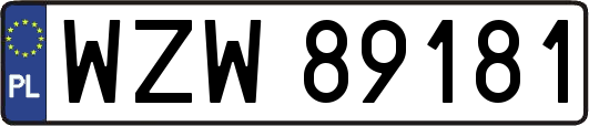 WZW89181