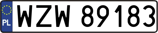 WZW89183