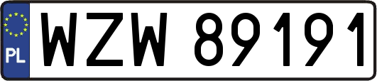 WZW89191