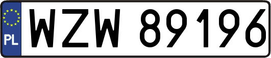 WZW89196