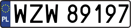 WZW89197