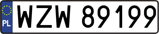 WZW89199
