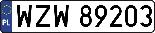 WZW89203