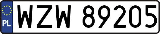 WZW89205