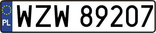 WZW89207