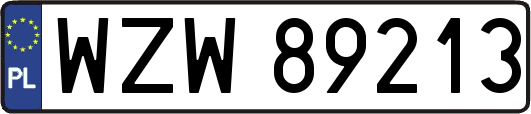 WZW89213