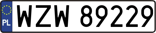 WZW89229