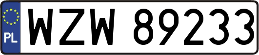 WZW89233