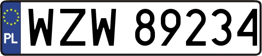 WZW89234