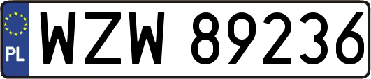 WZW89236