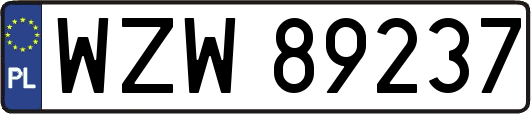 WZW89237