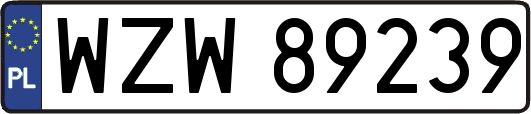 WZW89239