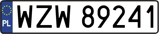 WZW89241