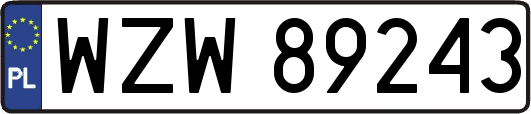 WZW89243