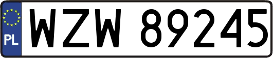 WZW89245