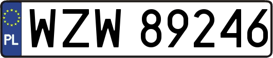 WZW89246