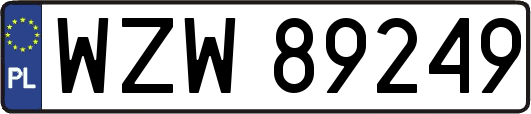 WZW89249