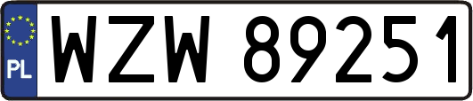 WZW89251