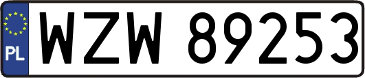 WZW89253