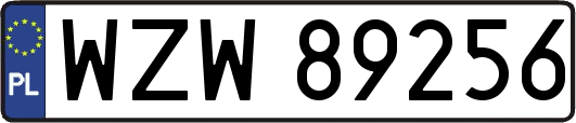 WZW89256