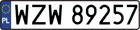 WZW89257
