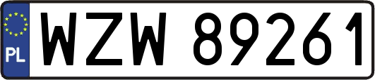 WZW89261