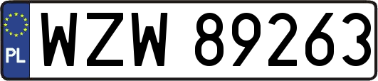 WZW89263