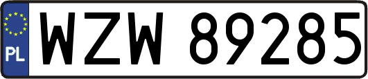 WZW89285