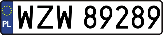 WZW89289