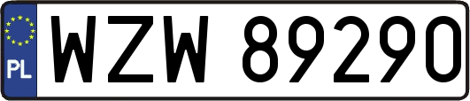 WZW89290