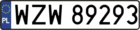 WZW89293