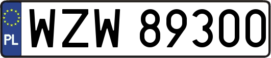WZW89300