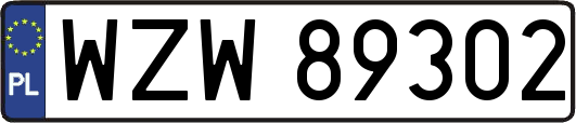 WZW89302