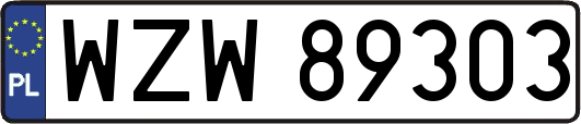 WZW89303