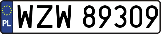 WZW89309