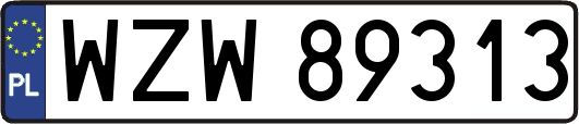 WZW89313