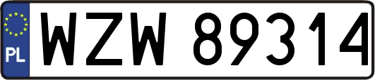 WZW89314